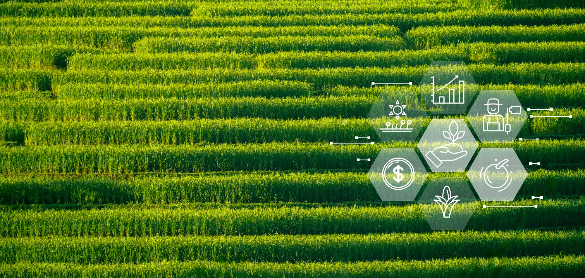 5. AFRiKA TARIM VE GIDA SANAYİ ZİRVESİ  3 - 7 Mayıs 2026 arası SENEGAL